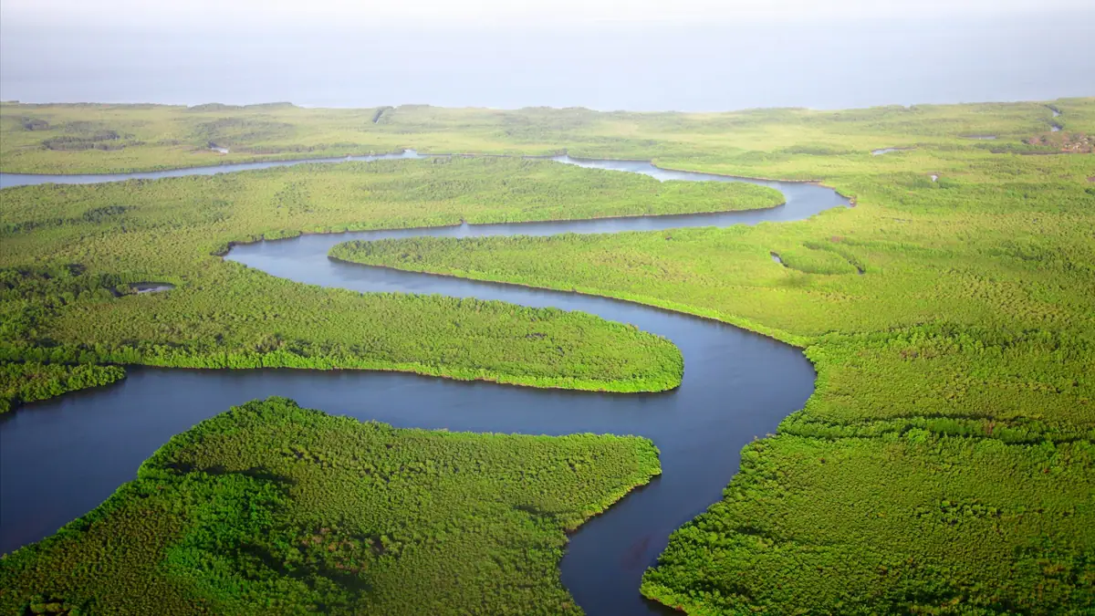 Aerial view of a river winding through green wetlands